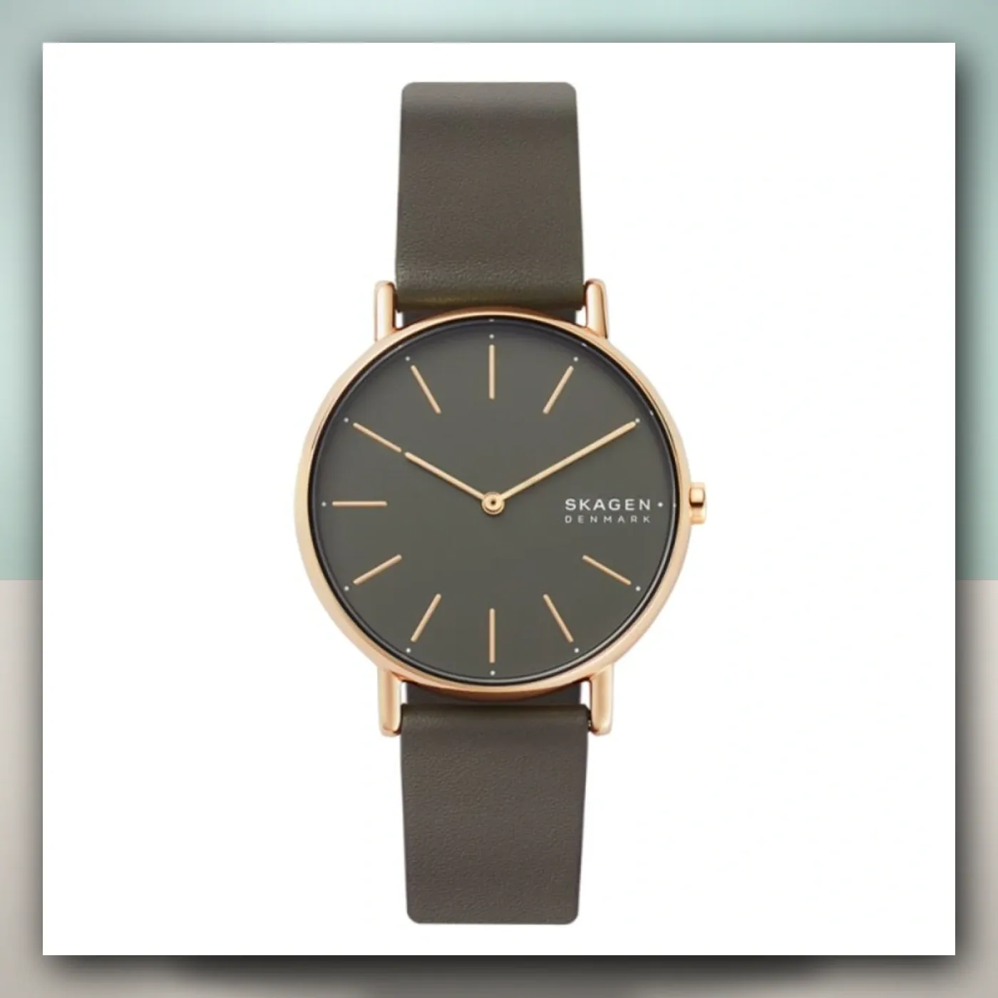 Satovi Skagen SKW2794