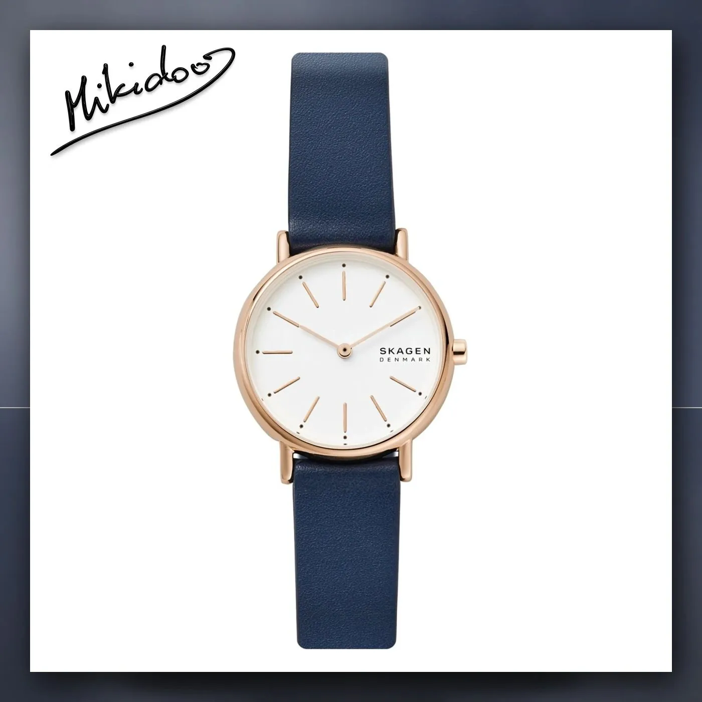 Satovi Skagen SKW2838