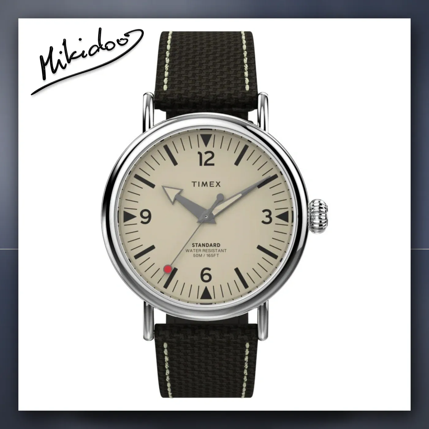 Satovi Timex TW2V44100