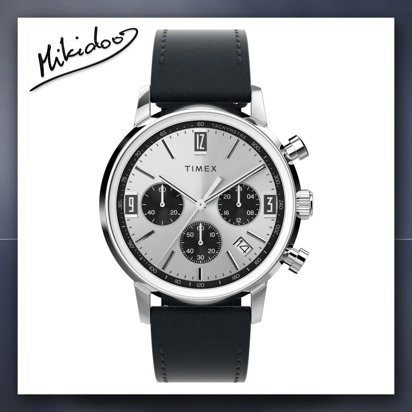 Satovi Timex TW2W10300