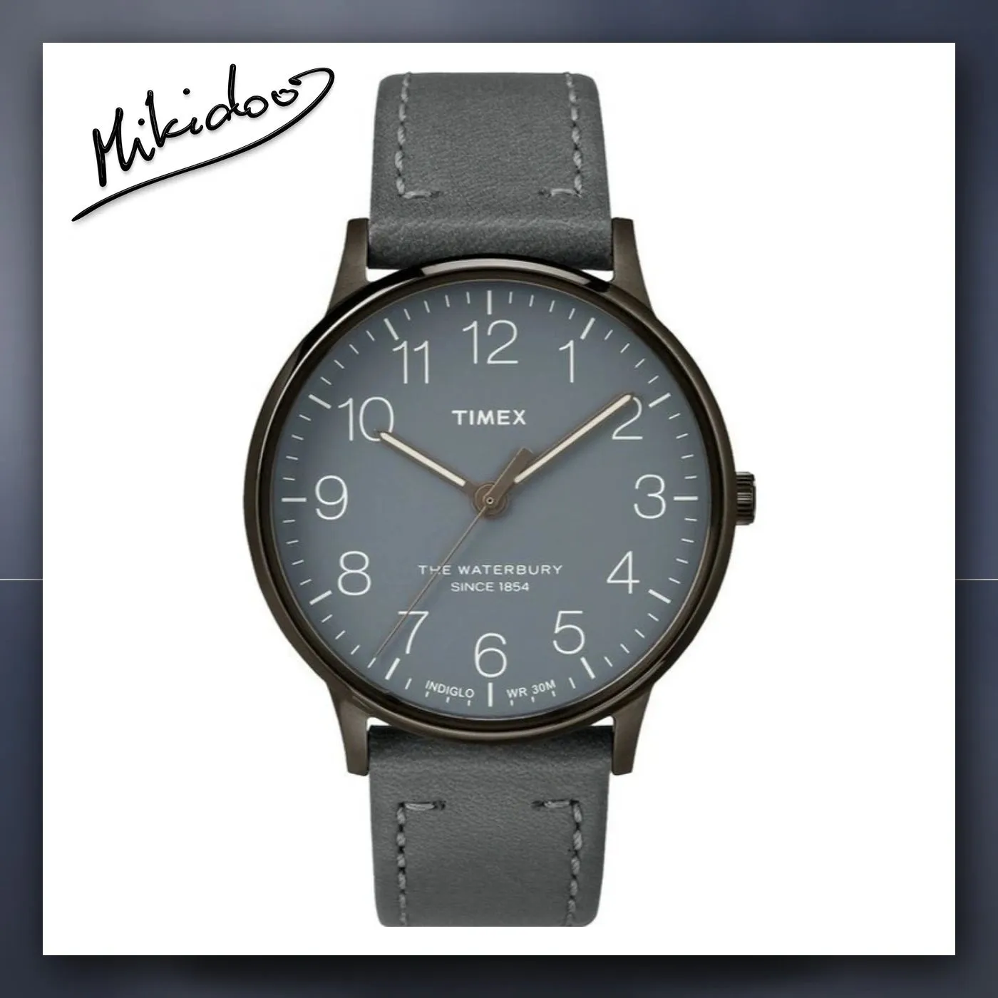 Satovi Timex Waterbury TW2P96000