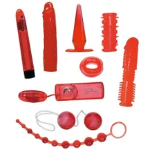 9-teiliges Toyset „Red Roses“ inklusive Batterien für die Vibro-Toys 9-teiliges Toyset „Red Roses“ inklusive Batterien für die Vibro-Toys