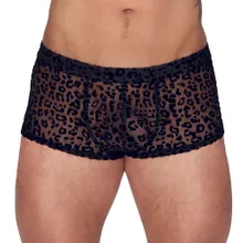 Pants aus feinem Powernet mit Leo-Samtflockprint Pants aus feinem Powernet mit Leo-Samtflockprint