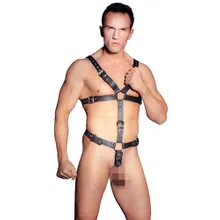 Harness aus Leder Harness aus Leder