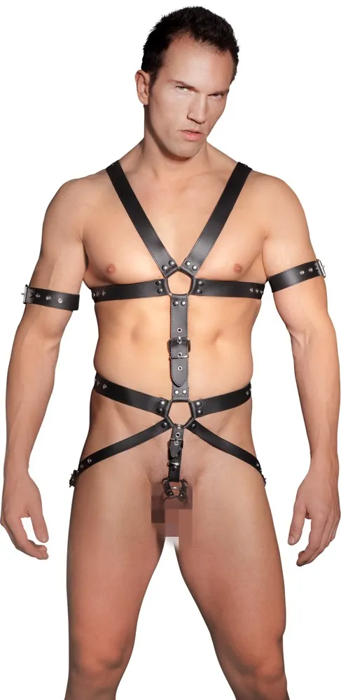 Harness aus Leder mit 3 Penis-/Hodenringen Harness aus Leder mit 3 Penis-/Hodenringen
