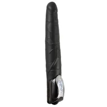 Vibrator „Push Thrusting Vibrator“ Vibrator „Push Thrusting Vibrator“