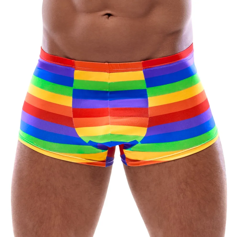 Pants in Regenbogenfarben Pants in Regenbogenfarben