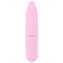 Minivibrator mit 10 tiefgehenden Vibrationsmodi Minivibrator mit 10 tiefgehenden Vibrationsmodi