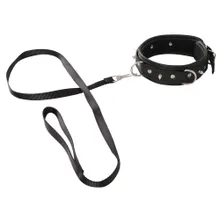 Halsfessel plus abnehmbare Leine, vegan Halsfessel plus abnehmbare Leine, vegan