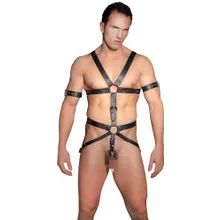 Harness aus Leder mit 3 Penis-/Hodenringen Harness aus Leder mit 3 Penis-/Hodenringen