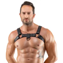 Brustharness in markanter Lederoptik Brustharness in markanter Lederoptik