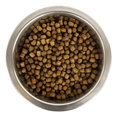 YOURDOG CHIEN FRANÇAIS BLANC ET ORANGE PUP 12 KG YOURDOG CHIEN FRANÇAIS BLANC ET ORANGE PUP 12 KG