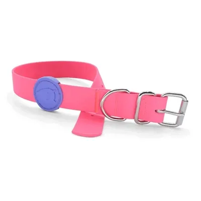 MORSO HALSBAND HOND WATERPROOF GERECYCLED PASSION PINK ROZE 33-41X1,5 CM MORSO HALSBAND HOND WATERPROOF GERECYCLED PASSION PINK ROZE 33-41X1,5 CM