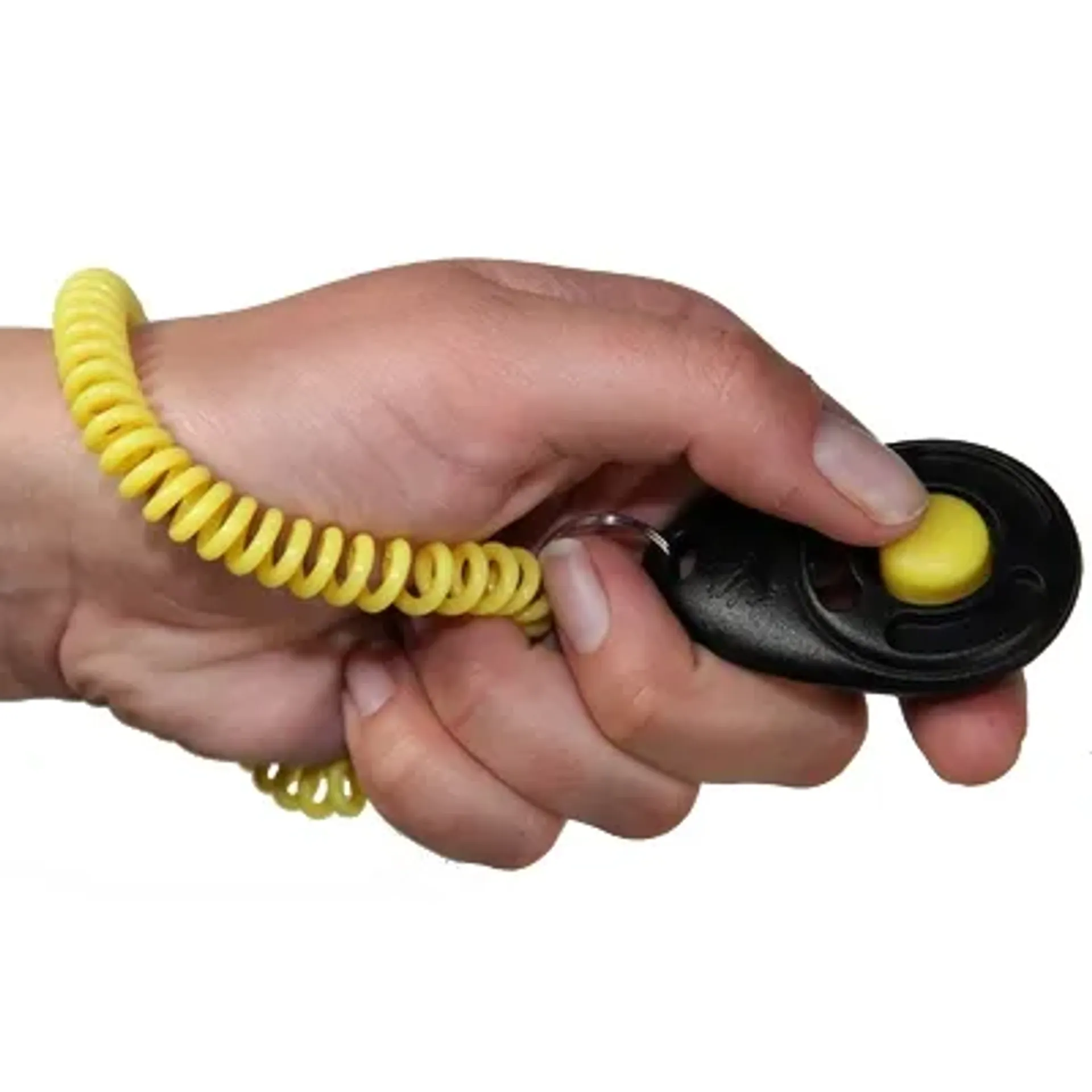 STARMARK CLICKER DE LUXE VOOR TRAINING 6X4 CM