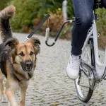 TRIXIE FIETSBEUGEL U-VORM M-XL TRIXIE FIETSBEUGEL U-VORM M-XL