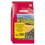 PRESTIGE GESTREEPTE ZONNEBLOEMPITTEN 600 GR PRESTIGE GESTREEPTE ZONNEBLOEMPITTEN 600 GR