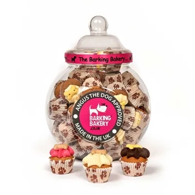 THE BARKING BAKERY VOORRAADPOT MINI ICED WOOFINS 45 ST THE BARKING BAKERY VOORRAADPOT MINI ICED WOOFINS 45 ST