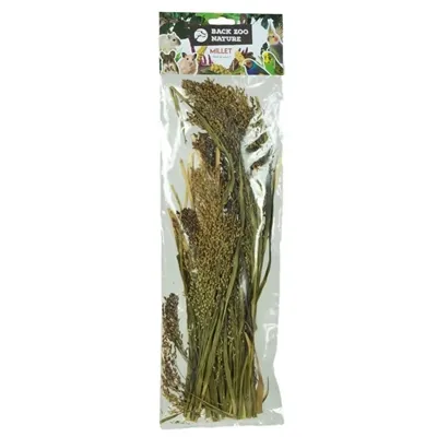 BACK ZOO NATURE MILLET PANICUM 40 GR BACK ZOO NATURE MILLET PANICUM 40 GR