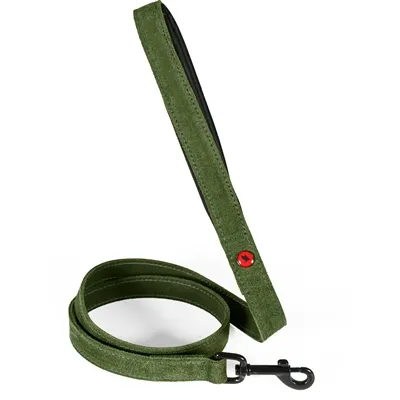 ZOLUX EXPERT HONDENRIEM PREMIUM LEER / NEOPREEN GROEN 100X1,5 CM ZOLUX EXPERT HONDENRIEM PREMIUM LEER / NEOPREEN GROEN 100X1,5 CM