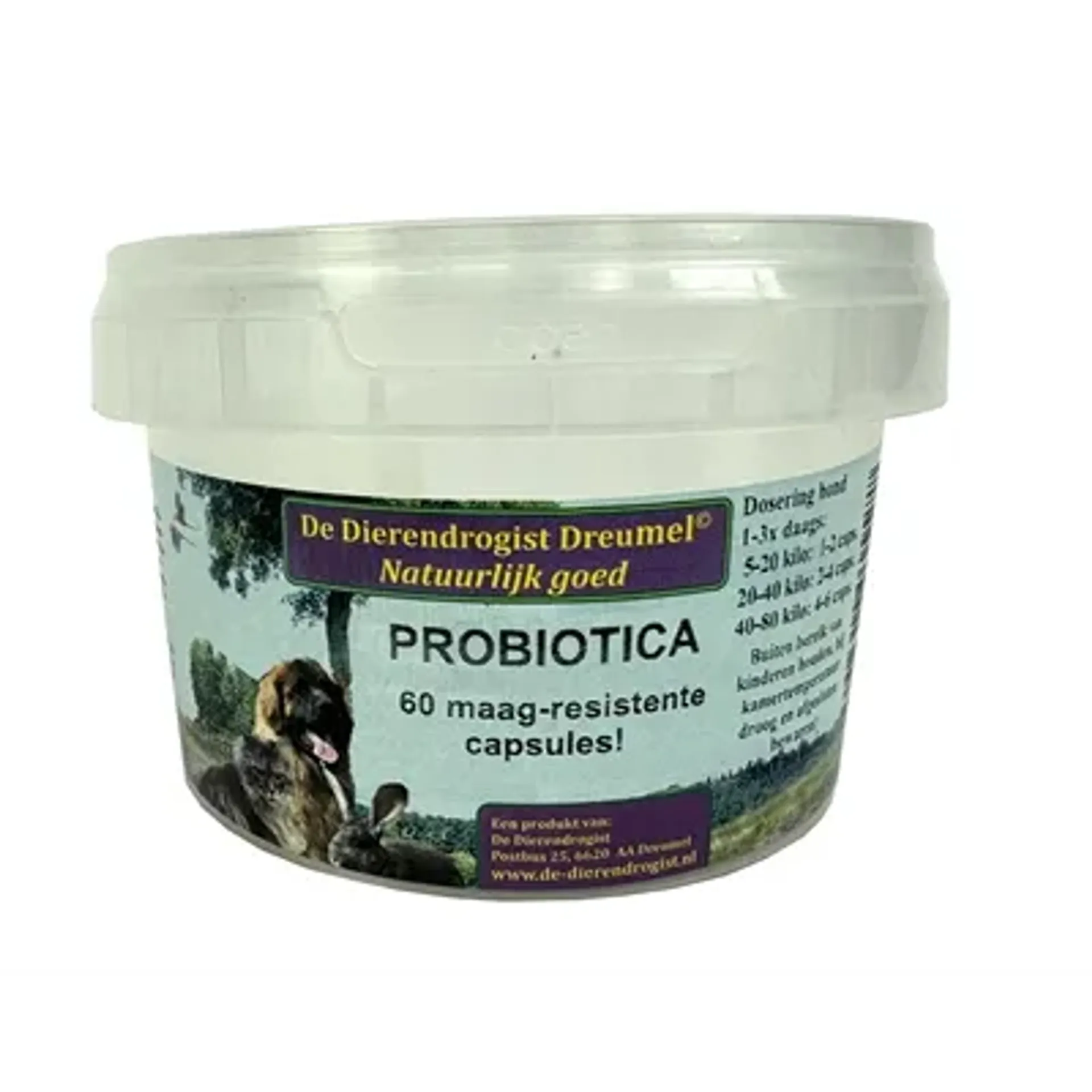 DIERENDROGIST PROBIOTICA CAPSULES 60 ST