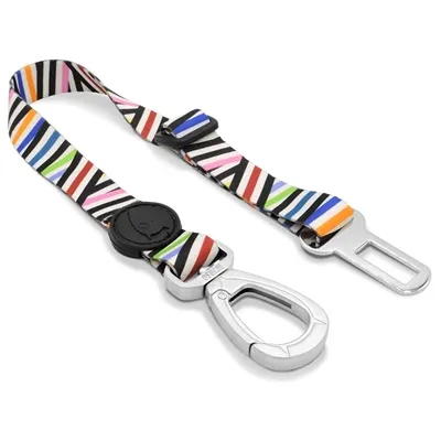 MORSO HONDEN AUTOGORDEL GERECYCLED SPAGHETTI INCIDENT 40-65X1,5 CM TOT 4 KG MORSO HONDEN AUTOGORDEL GERECYCLED SPAGHETTI INCIDENT 40-65X1,5 CM TOT 4 KG