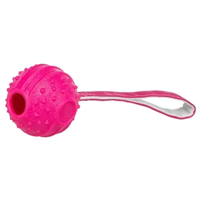TRIXIE WERPBAL SOFT & STRONG TPR ROZE 29X7,5X7,5 CM TRIXIE WERPBAL SOFT & STRONG TPR ROZE 29X7,5X7,5 CM