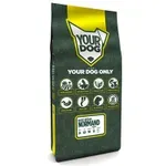 YOURDOG BASSET ARTÈSIEN NORMAND SENIOR 12 KG YOURDOG BASSET ARTÈSIEN NORMAND SENIOR 12 KG