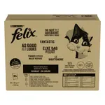 FELIX POUCH ELKE DAG FEEST IN GELEI TONIJN / KABELJAUW / RUND / KIP 80X85 GR FELIX POUCH ELKE DAG FEEST IN GELEI TONIJN / KABELJAUW / RUND / KIP 80X85 GR
