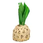 TRIXIE ANANAS BAMBOE MET MAISBLADEREN EN HOOI 6,5X6,5X14 CM TRIXIE ANANAS BAMBOE MET MAISBLADEREN EN HOOI 6,5X6,5X14 CM
