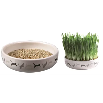 TRIXIE KATTENGRASZAAD 50GR IN KERAMIEK 15X15X4 CM TRIXIE KATTENGRASZAAD 50GR IN KERAMIEK 15X15X4 CM