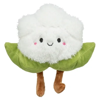 TRIXIE BLOEMKOOL XXL PLUCHE MET AMERIKAANSE CATNIP 18 CM TRIXIE BLOEMKOOL XXL PLUCHE MET AMERIKAANSE CATNIP 18 CM