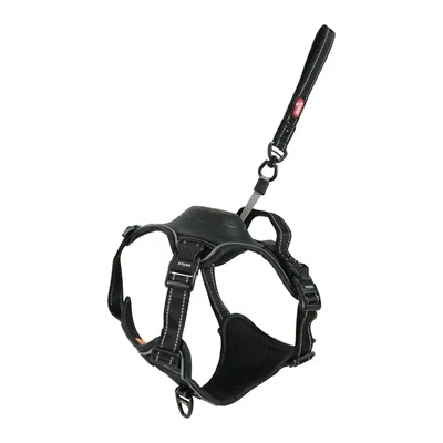 ZOLUX EASYRIDE HONDENTUIG ZWART L 46-64X63-80 CM ZOLUX EASYRIDE HONDENTUIG ZWART L 46-64X63-80 CM