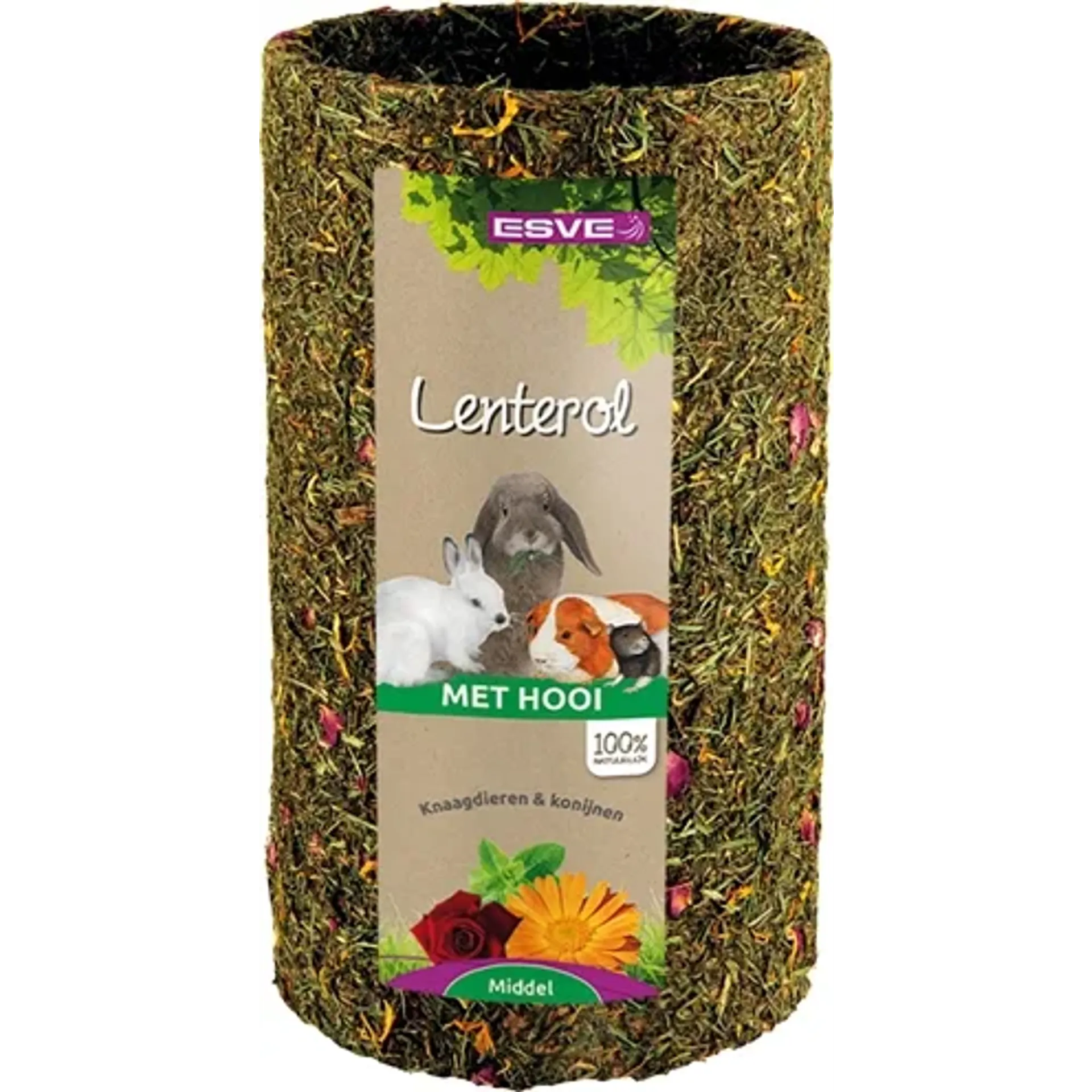 ESVE LENTEROL MEDIUM 25 CM