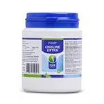 PUUR CHOLINE EXTRA 100 GR PUUR CHOLINE EXTRA 100 GR