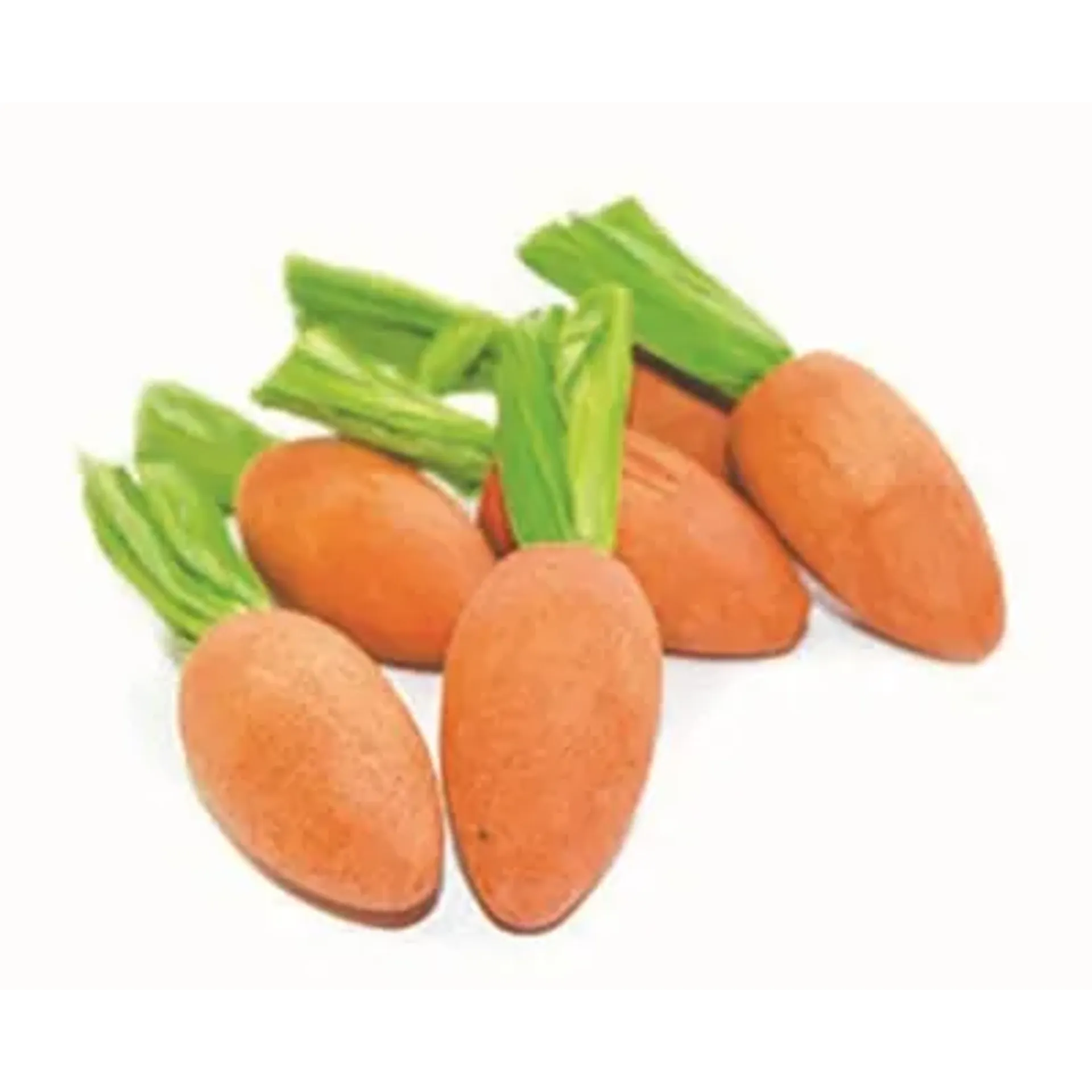 HAPPY PET CARROT NIBBLERS KNAAGHOUT 8X3X3 CM 6 ST