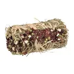 TRIXIE HOOIBAAL MET RODE BIET EN PASTINAAK 18X10X10 CM 200 GR TRIXIE HOOIBAAL MET RODE BIET EN PASTINAAK 18X10X10 CM 200 GR