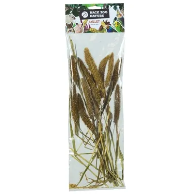 BACK ZOO NATURE MILLET SETARIA ITALICA 50 GR BACK ZOO NATURE MILLET SETARIA ITALICA 50 GR