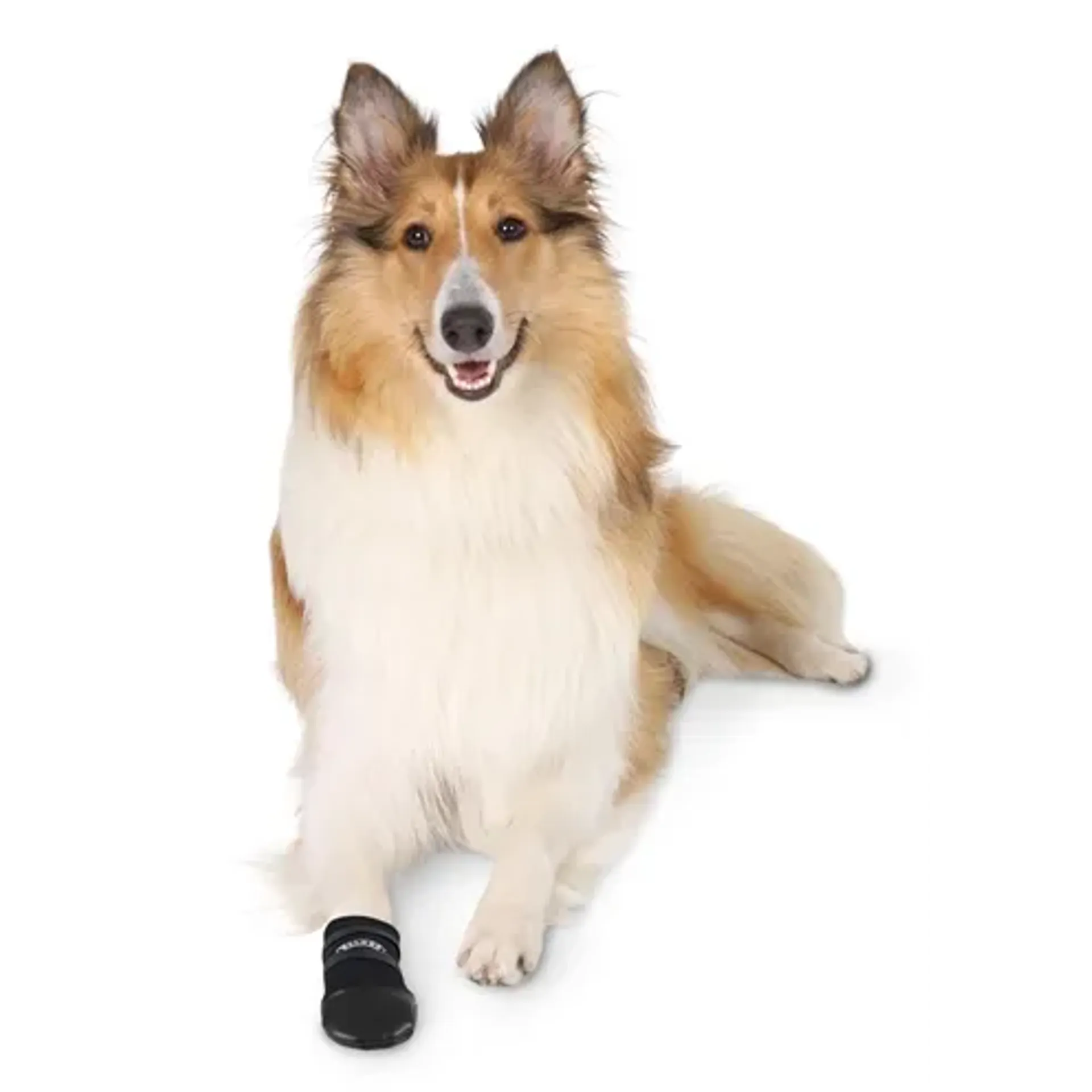 TRIXIE WALKER CARE BESCHERMSCHOENEN ZWART 2 STUKS XL 20X10 CM