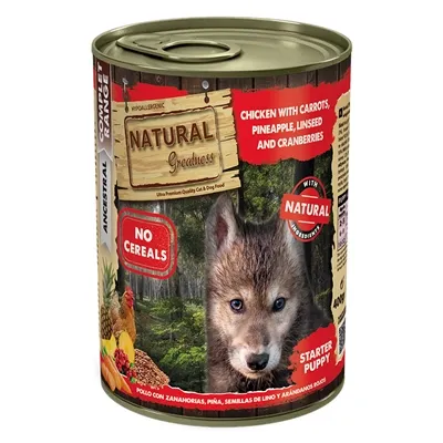 NATURAL GREATNESS CHICKEN / CARROTS / PINEAPPLE 400 GR NATURAL GREATNESS CHICKEN / CARROTS / PINEAPPLE 400 GR