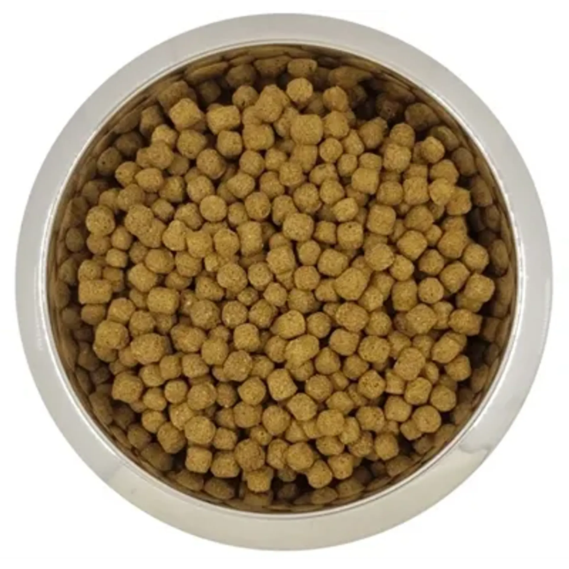 YOURDOG DWERG- OF TOYPOEDEL VOLWASSEN 12 KG