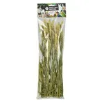 BACK ZOO NATURE MILLET TARWE 50 GR BACK ZOO NATURE MILLET TARWE 50 GR