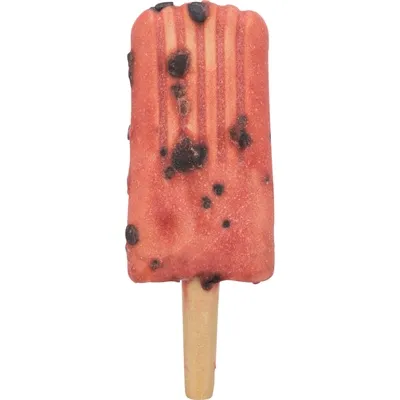 TRIXIE ICE POP ROOD 55 GR TRIXIE ICE POP ROOD 55 GR