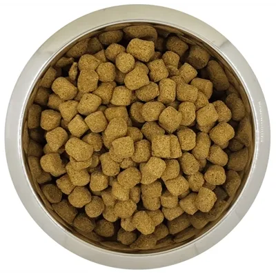 YOURDOG KONINGSPOEDEL VOLWASSEN 12 KG YOURDOG KONINGSPOEDEL VOLWASSEN 12 KG