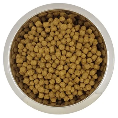 YOURDOG DWERG- OF TOYPOEDEL SENIOR 12 KG YOURDOG DWERG- OF TOYPOEDEL SENIOR 12 KG