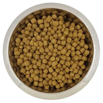 YOURDOG DWERG- OF TOYPOEDEL VOLWASSEN 12 KG YOURDOG DWERG- OF TOYPOEDEL VOLWASSEN 12 KG