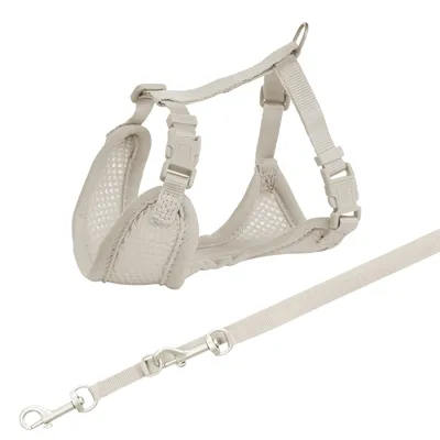 TRIXIE JUNIOR PUPPYTUIG SOFT MET RIEM LICHTGRIJS 26-34X1 CM / 2 MTR TRIXIE JUNIOR PUPPYTUIG SOFT MET RIEM LICHTGRIJS 26-34X1 CM / 2 MTR