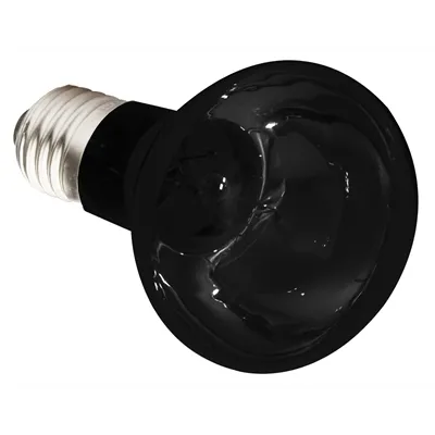 KOMODO NACHTGLOED LAMP ES 50 WATT KOMODO NACHTGLOED LAMP ES 50 WATT