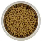 YOURDOG DWERG- OF TOYPOEDEL SENIOR 12 KG YOURDOG DWERG- OF TOYPOEDEL SENIOR 12 KG