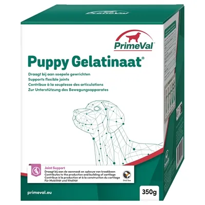 PRIMEVAL GELATINAAT HOND 500 GR PRIMEVAL GELATINAAT HOND 500 GR