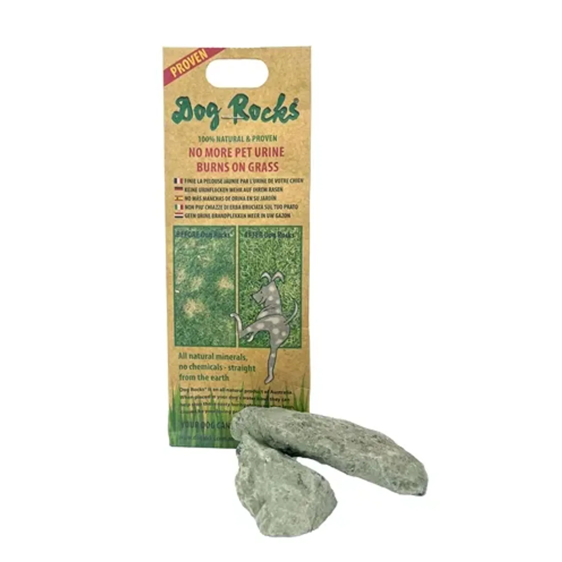 DOG ROCKS 200 GR